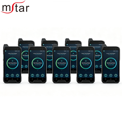 Caltta E720 PoC Smart Radio 4G LTE Android 11 Walkie Talkie met Dual SIM GPS voor Bouwbeveiliging